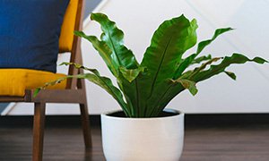 如何策劃裝飾公司網(wǎng)站建設？