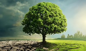 新能源網(wǎng)站配色大法，讓你的網(wǎng)站瞬間＂電力＂十足！