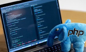 探索網(wǎng)站開發(fā)的最佳選擇 - PHP還是.NET？