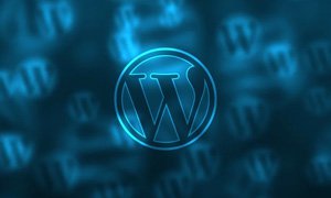 制作服裝外貿(mào)網(wǎng)站建設(shè)需要重視的幾點關(guān)鍵因素