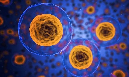 醫(yī)療產(chǎn)品展示型網(wǎng)站建設(shè)