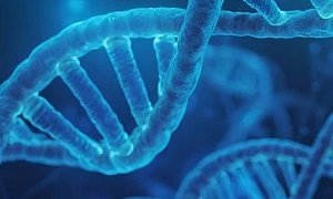 北京網站建設公司如何通過改版提升醫(yī)療生物公司網站品牌形象？