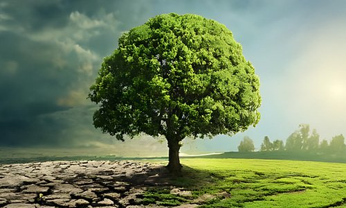 青海網(wǎng)站建設(shè)如何優(yōu)化農(nóng)業(yè)公司官網(wǎng)的頁面加載速度