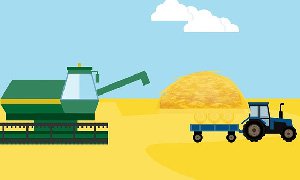 西藏網(wǎng)站建設(shè)搭建專業(yè)農(nóng)業(yè)科技服務(wù)平臺(tái)，賦能農(nóng)業(yè)現(xiàn)代化?