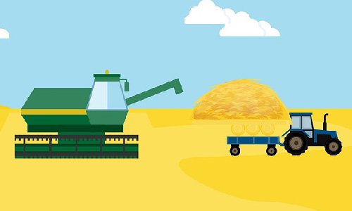 沈陽農產(chǎn)品企業(yè)網(wǎng)站建設:聚焦產(chǎn)品特性打造高效銷售載體