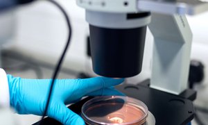 醫(yī)療器械網(wǎng)站建設(shè)-醫(yī)療器械網(wǎng)站定制開發(fā)推動品牌傳播