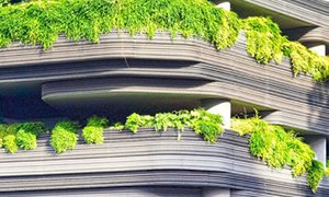 環(huán)保網(wǎng)站建設(shè)-環(huán)保節(jié)能網(wǎng)站制作設(shè)計(jì)開發(fā)