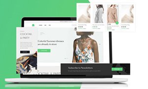 商城網(wǎng)站建設(shè)-多種商業(yè)模式定制開發(fā)