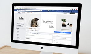 粉絲效應(yīng)與痛點(diǎn)突破：寵物網(wǎng)站建設(shè)的核心邏輯