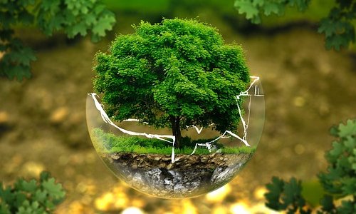 旅游網(wǎng)站建設(shè)該如何開展