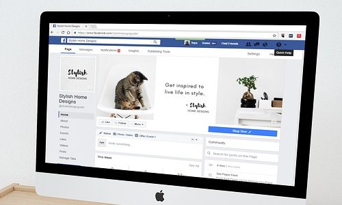 北京網(wǎng)站建設(shè)寵物護(hù)理美容展示站的價(jià)值