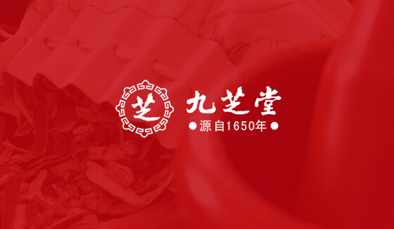 中藥企業(yè)上市公司品牌網(wǎng)站建設(shè)