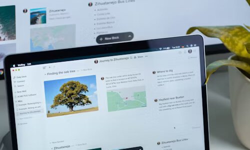 手機(jī)網(wǎng)站建設(shè)中用戶需重點(diǎn)關(guān)注的問題