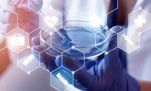 醫(yī)療網(wǎng)站設(shè)計實施方案詳解